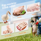 🐓 Elektromos baromfi-tolltépő gép