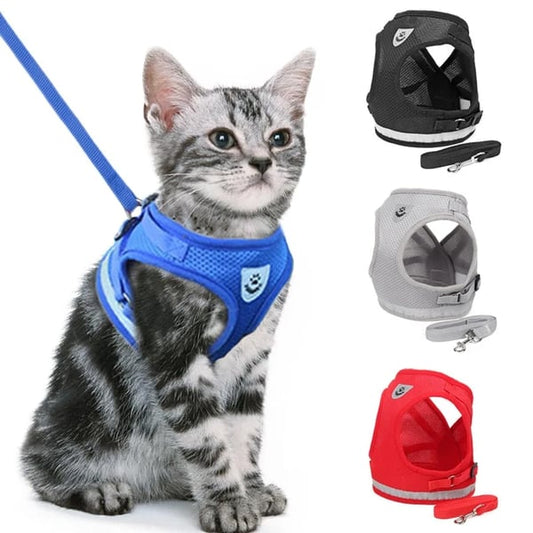 🐶Állítható, lélegző, sötétben világító, tökéletes macska hám