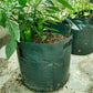 18/26/38L große Kapazität Kartoffel wachsen Pflanzer PE Container Tasche Tomate Gemüse Garten im Freien
