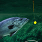 🎣 Erős úszóképességű úszóhorog – természetesen lebeg, pillanatok alatt horogra akasztja a halat! 🐟💧