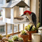 🦜Kinti kertbe szánt függeszthető madáretető