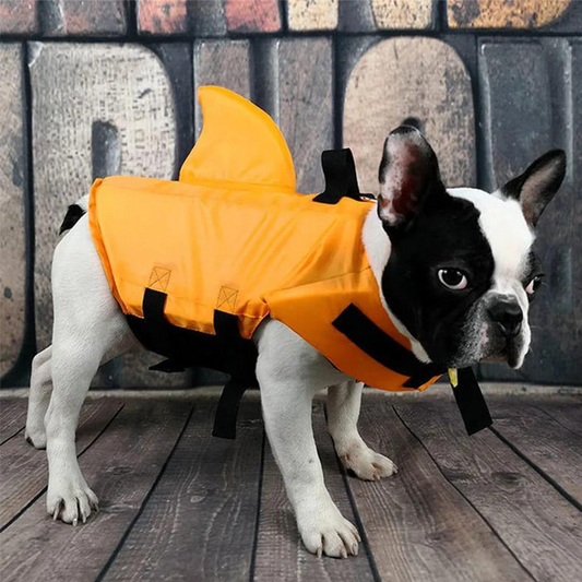 🦈 Állítható, cápa alakú kutyamentőmellény – élénk színekben, fényvisszaverő csíkkal ellátva 🌊